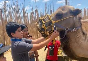 Combo Camelback Safari and ATV Ride Combo Tour Adventure