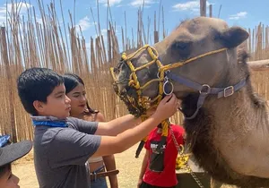 Combo Camelback Safari and ATV Ride Combo Tour Adventure