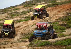 Cabo Wild Desert Tour, Polaris ATV or Razor Single, Double, Triple or Quad!