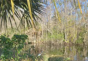 Everglades Small-Group Airboat Adventure with Transport