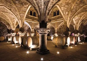 Provence Wine Tour - Private Day Tour from Cannes