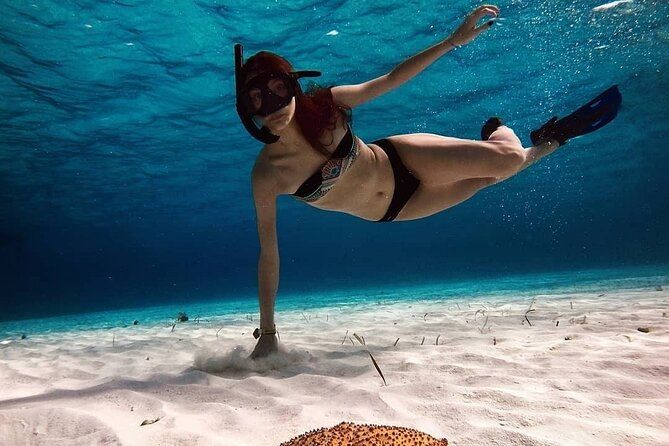 Snorkeling Experience in Cozumel with Transportation from Cancun