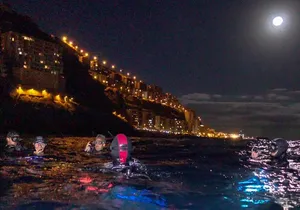 Scuba Night Dive on Tenerife