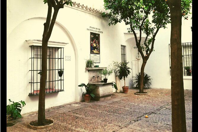 Alcazar, Cathedral And Santa Cruz Private Tour