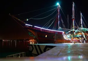 Puerto Vallarta Dinner Under the Sea and Pirate Show
