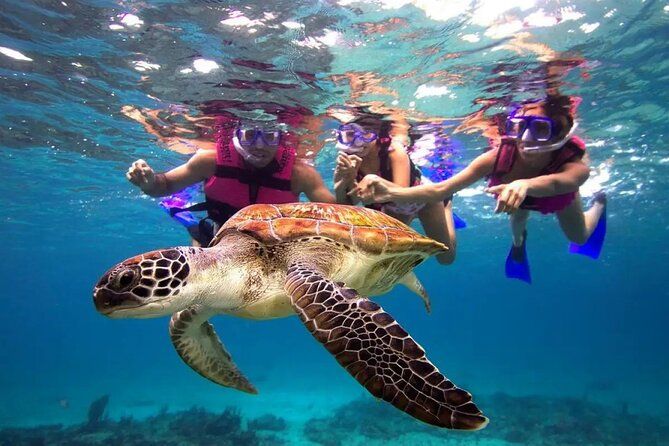 Snorkel, Swim & Snap-w/ Video