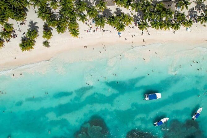 From Santo Domingo Saona Island Food And Drink Catamaran Vip