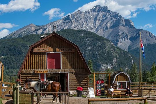 2 Hour Banff Horseback Riding Adventure