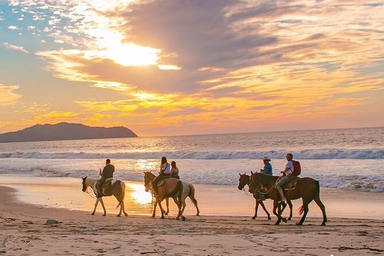 NEW!! Combo ATV & Horseback Ride. Beach & Desert. Tequila Tasting