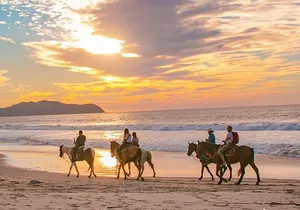 NEW!! Combo ATV & Horseback Ride. Beach & Desert. Tequila Tasting