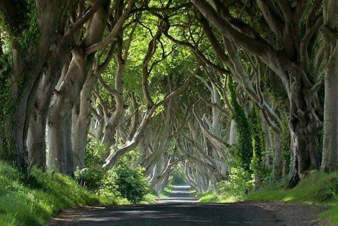 Private Game of Thrones including Giant's Causeway Causeway Coast Rope Bridge