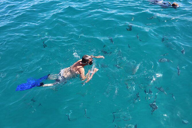 Cabo San Lucas Snorkel and Chileno Bay Catamaran Cruise