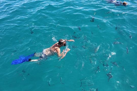 Cabo San Lucas Snorkel Tour All Included