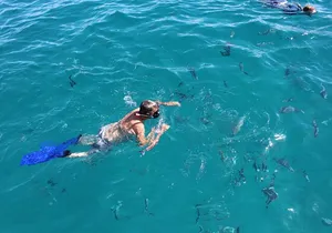 Cabo San Lucas Snorkel Tour All Included