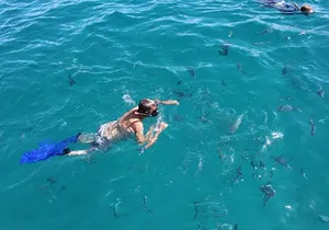 Cabo San Lucas Snorkel Tour All Included