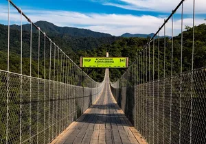 All-in-one PV Experience: Suspension bridge, Quads, Buggies, Ziplines and Mules