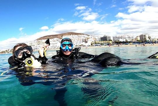 Discover the underwater world PHOTO AND VIDEO for free