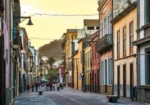 Private 4-hour Tour to La Laguna from Tenerife from Hotel or Port pick-up