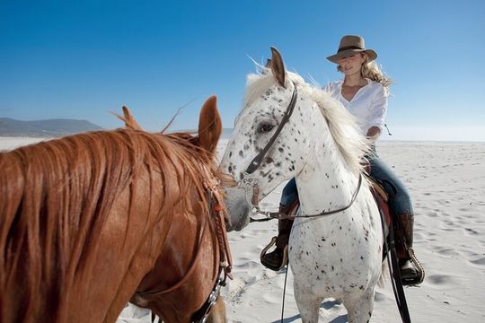 Horseback Riding Beach & Desert Adventure