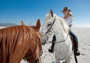 Horseback Riding Beach & Desert Adventure