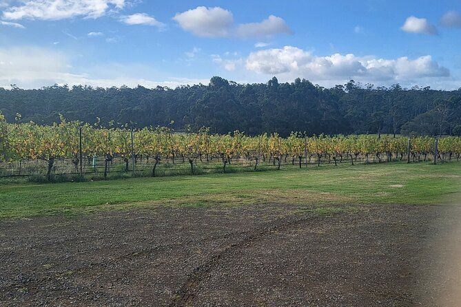 Signature Wine Tour - Hobart & SE Tasmania