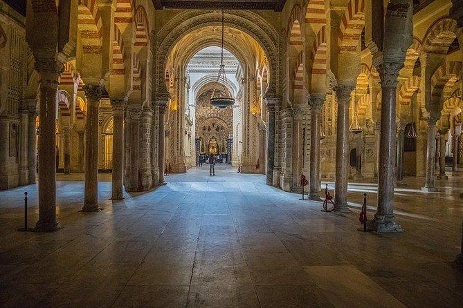 Guided tour of the Mosque with entrance included