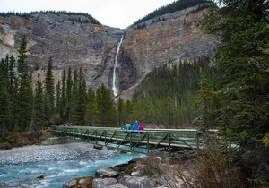Discover Grizzly Bears from Banff