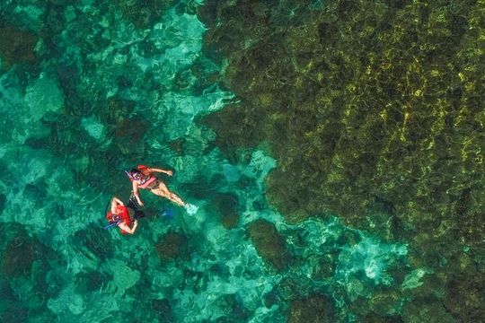 La Paz World class Snorkeling in Balandras Hidden Beaches