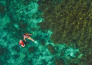 La Paz World class Snorkeling in Balandras Hidden Beaches