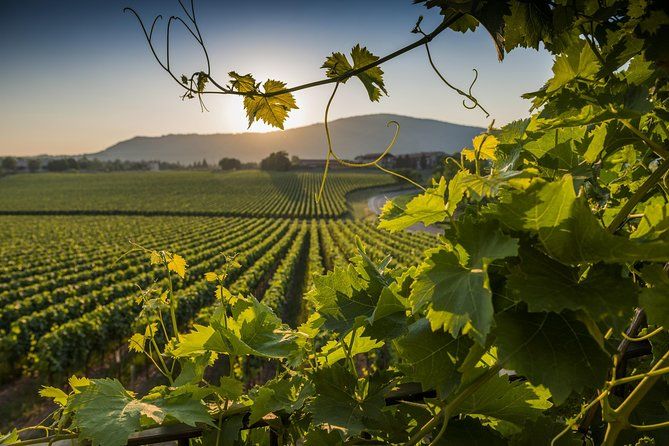 From Rome: Private Day-Tour of Tuscany