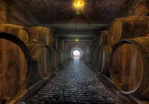 Tenerife Bodegas Monje Winery Tour with Wine and Cheese Tasting