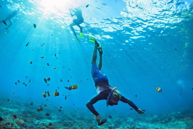 Key West Private Charter: Tailored Snorkeling & Reef Adventure