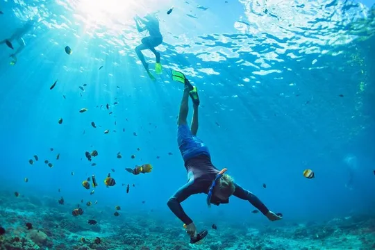 Key West Private Charter: Tailored Snorkeling & Reef Adventure