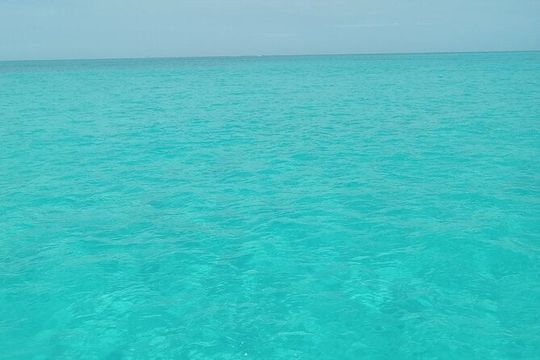 Private speed boat beach and bar hopping visiting Rose island