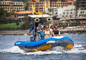 SEA SAFARI Dolphins,Whales, snorkeling, snack, drink, 3h private