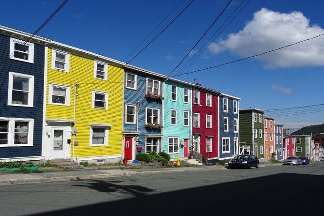St. John’s Premium Tour with Whale Watching & Iceberg Cruise