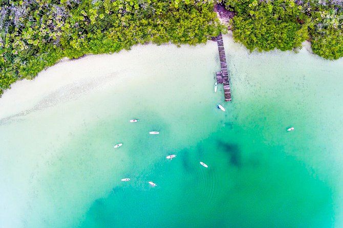 Expedition Lagoon - Paddleboard In Kaan Luum & Taco Stop Tulum