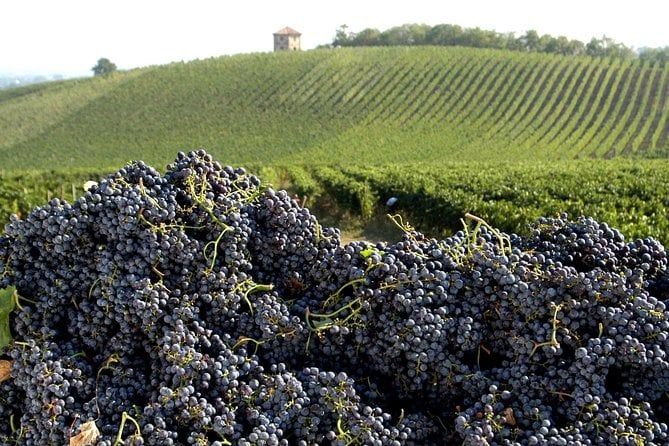 Valtellina Food Tour : Lake Como and Mountains discover - Private tour