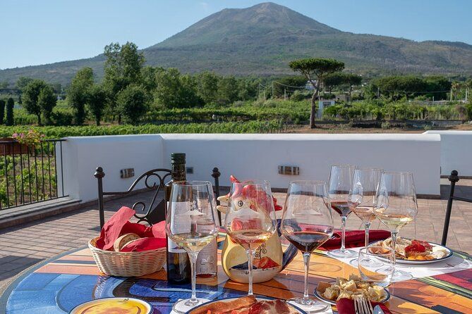 Pompeii Wine Tasting Experience, Vineyards Tour and Lunch