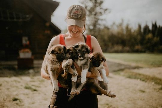 Summer Kennel Visit at Historic Trail Breaker Kennel