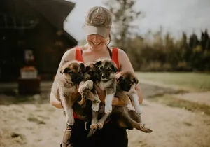 Summer Kennel Visit at Historic Trail Breaker Kennel