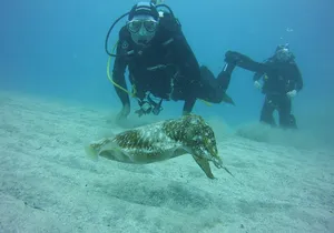 2x diving package, on request including refreshment