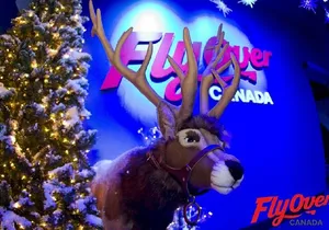 Vancouver city Special Tour With Flyover Canada