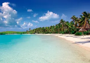 Paradise Islands Tour: Isla Contoy and Isla Mujeres