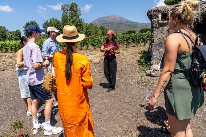 Private Pompeii Tour with Wine Tasting Experience