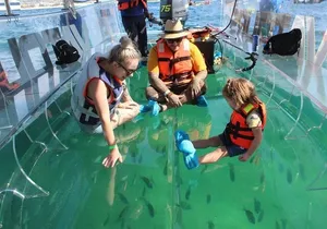 Clear Boat Ride with City Tour in Los Cabos