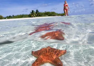 Full day tour to El Cielo in Cozumel Snorkeling and Lunch