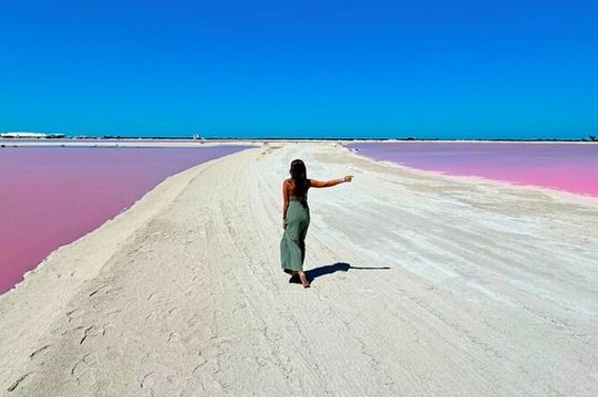 Safari in Rio Lagartos, Coloradas and Mayan Bath