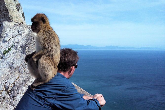 Gibraltar private tour from Marbella or Malaga
