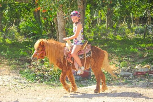 Horseback Riding and Zipline Jungle Adventure